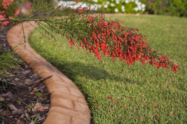 Brick Edging in Gig Harbor